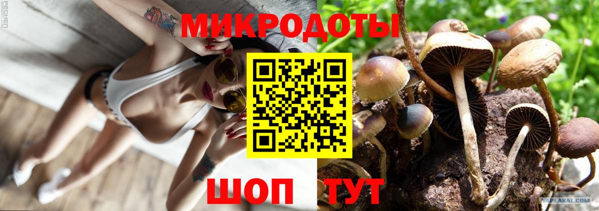 Псилоцибиновые грибы мицелий Елизово