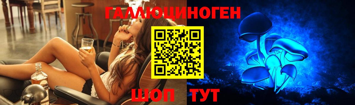 Псилоцибиновые грибы Psilocybe  Вход с VPN  Елизово 